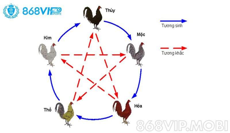 Màu mạng cho gà đá được rất nhiều anh em quan tâm tìm hiểu Màu mạng cho gà đá được rất nhiều anh em quan tâm tìm hiểu